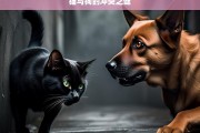 猫与狗的冲突之谜，猫与狗的冲突之谜探究