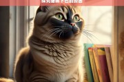 探究猫黑下巴的原因，猫黑下巴原因探究