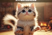 关于小猫尾巴竖起来的奥秘，小猫尾巴竖起来的奥秘探究