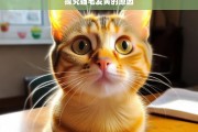 探究猫毛发黄的原因，猫毛发黄原因探究