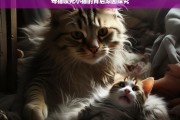 母猫咬死小猫的背后原因探究，母猫为何咬死小猫