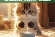 揭秘猫咪踩奶行为背后的秘密，为什么猫猫喜欢踩奶？