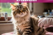 关于给猫咪剃毛的探讨，猫咪剃毛之析