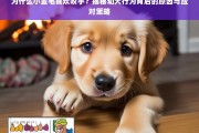 揭秘小金毛咬手行为，幼犬行为原因与应对策略全解析