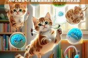 猫咪顽皮行为背后的科学解析，为什么猫总是淘气？