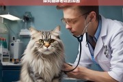 探究猫咪老吐的原因，猫咪老吐原因探究