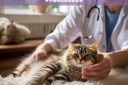 关于猫咪绝育的那些事，猫咪绝育全知道