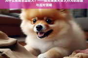 博美犬咬人行为的原因分析与应对策略