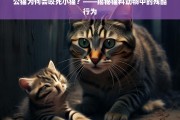 公猫为何会咬死小猫？——揭秘猫科动物中的残酷行为