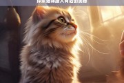 探索猫咪蹭人背后的奥秘，猫咪蹭人背后的奥秘探索