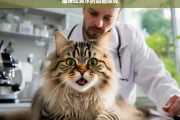 猫咪吐黄水的原因探究，猫咪吐黄水原因剖析