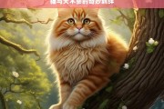 猫与天木蓼的奇妙羁绊，猫与天木蓼的奇妙关系