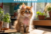 关于小猫长猫藓原因的探究，小猫长猫藓的原因剖析