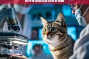 探究猫泪痕现象的背后原因，猫泪痕现象的背后原因探究