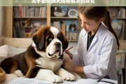 关于圣伯纳犬饲养情况的探究，圣伯纳犬饲养情况探究