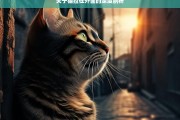 关于猫拉在外面的深度剖析，猫在外面排便现象的深度剖析