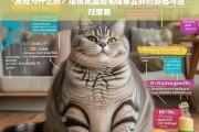 英短为何易胖？揭秘英国短毛猫发胖原因及应对方法