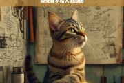 探究猫不粘人的原因，猫不粘人的缘由探究