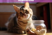 探究猫总是吐的原因，猫总吐的原因探究