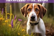 小鹿犬断尾的历史渊源、原因解析及争议探讨