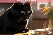 猫咪不吃饭的原因探究，猫咪不吃饭原因之析