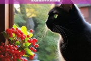 探究猫喜欢木天蓼的奥秘，猫与木天蓼的奥秘探究