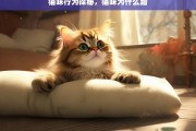 猫咪行为探秘，猫咪为什么蹭，猫咪蹭的行为探秘