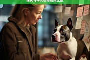 探究斗牛犬价格高昂之谜，斗牛犬价格高昂的原因探究