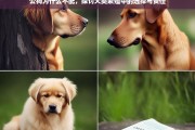 公狗为何不宜随意配种，犬类繁殖中的选择与责任探讨