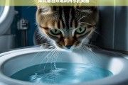 探究猫喜欢喝厕所水的奥秘，猫为何喜欢喝厕所水之探究