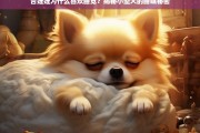 吉娃娃为何爱睡觉？小型犬的睡眠习惯大揭秘