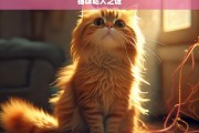 猫咪粘人之谜，探究猫咪粘人之谜