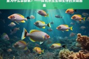 鱼为什么会缺氧？——探究水生生物生存的关键因素