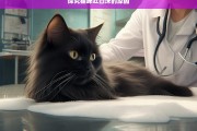 探究猫咪吐白沫的原因，猫咪吐白沫原因探究