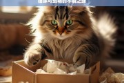 猫咪与纸箱的不解之缘，猫咪与纸箱的奇妙缘分