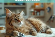 探究猫咪产后不吃饭的原因，猫咪产后不吃饭原因探究