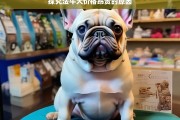 探究法牛犬价格昂贵的原因，法牛犬价格昂贵之因探究