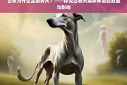 古牧犬禁养原因及影响解析