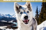 阿拉斯加犬频繁吠叫的原因解析及有效应对方法