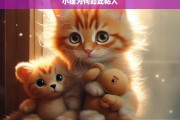 小猫为何如此粘人，小猫粘人之谜