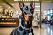 解析恶霸犬价格高昂的原因，恶霸犬价格高昂之因解析