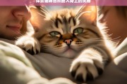 探索猫咪喜欢睡人身上的奥秘，猫咪为何喜欢睡人身上之奥秘探索