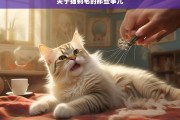 关于猫剃毛的那些事儿，猫剃毛的相关事宜