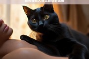 探究猫在人身上踩奶的奥秘，猫在人身上踩奶的奥秘探究