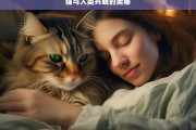 猫与人类共眠的奥秘，猫与人类共眠的奥秘探究