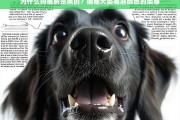 揭秘犬类嘴唇颜色，为什么狗的嘴唇是黑色的？