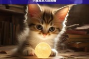 小猫耳朵大的奥秘，小猫耳朵大的奥秘探究