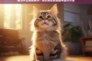 猫轻微发抖的原因及应对策略，全面解析与实用建议