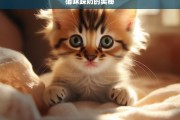 猫咪踩奶的奥秘，猫咪踩奶的奥秘探究