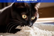 探究猫与猫砂的不解之缘，猫与猫砂的奇妙羁绊